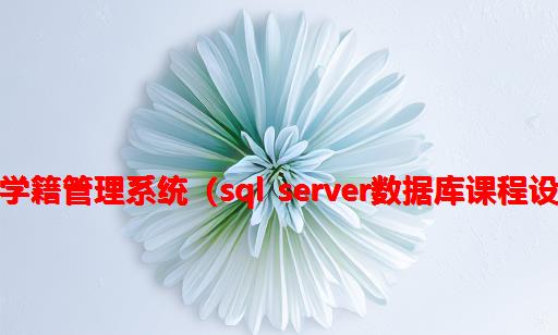 高校学籍管理系统（SQL Server数据库课程设计）